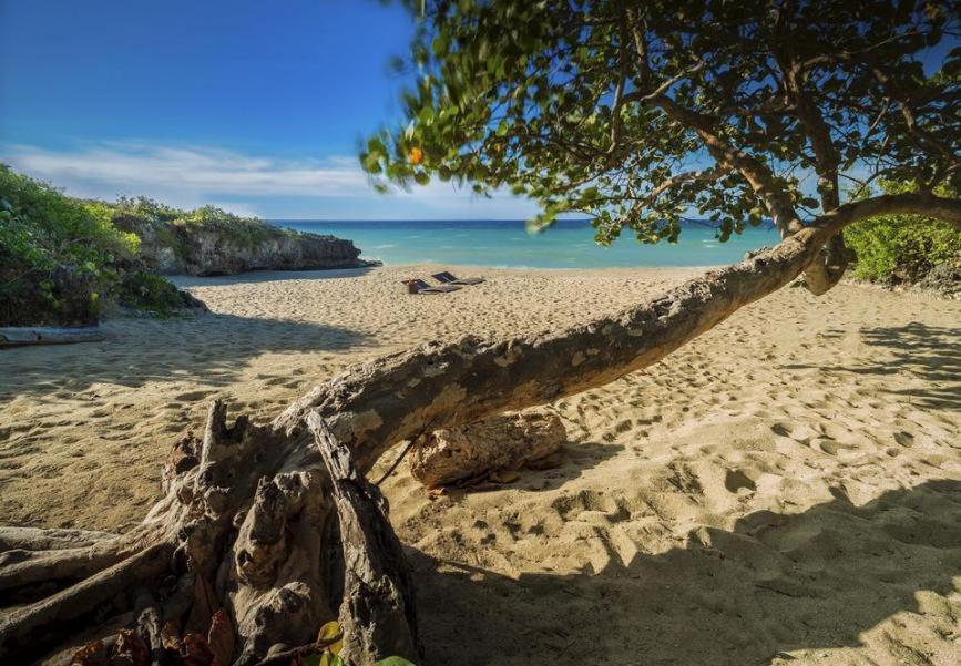 Amazing Condos At Sosua Ocean Village Екстериор снимка